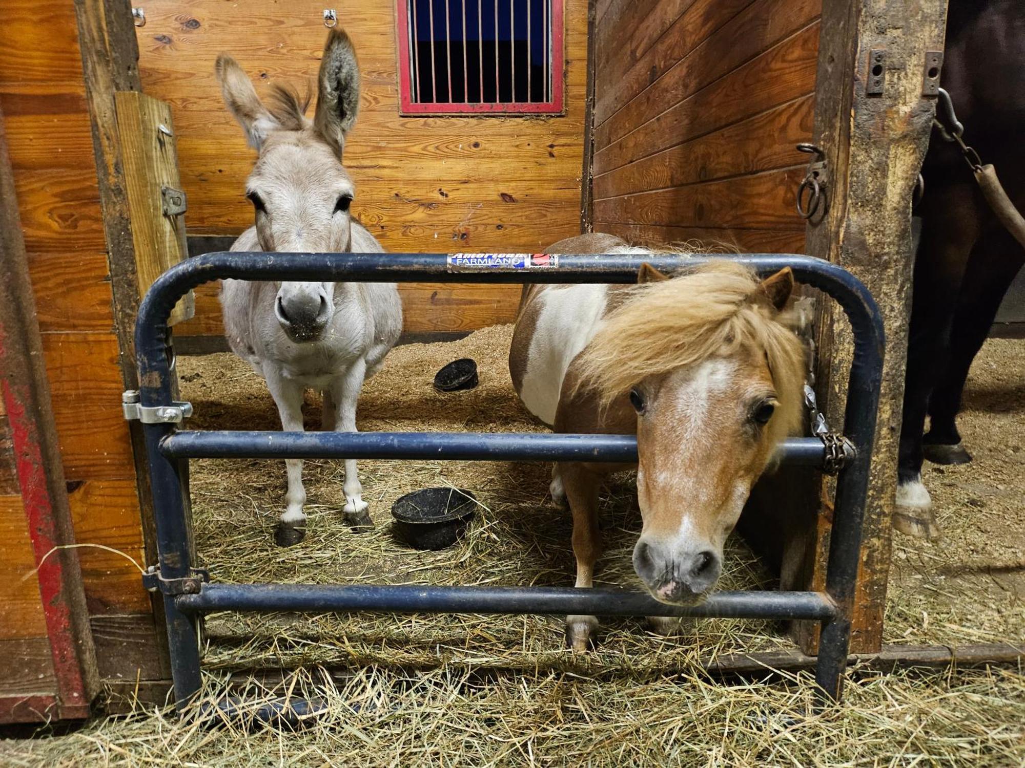 Clover Hill Farm & Country *