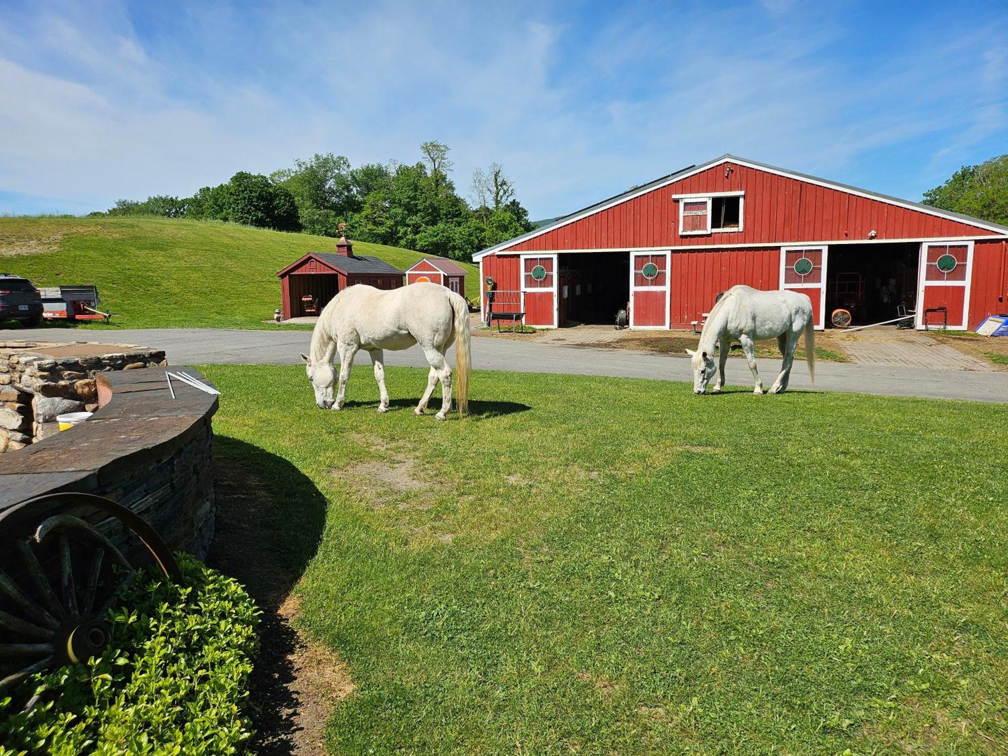 Clover Hill Farm & Country Williamstown